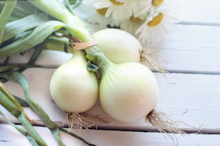 agriculture-blur-close-up-focus