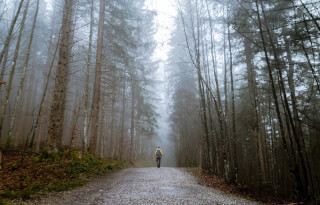 alone-autumn-mood-forest-cold-countryside