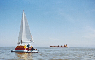 periwinkle-in-straits-of-georgia