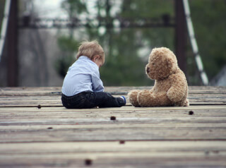 wood-bridge-cute-sitting